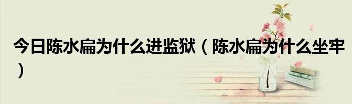 今日陈水扁为什么进监狱（陈水扁为什么坐牢）