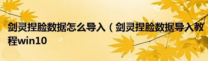 剑灵捏脸数据怎么导入（剑灵捏脸数据导入教程win10