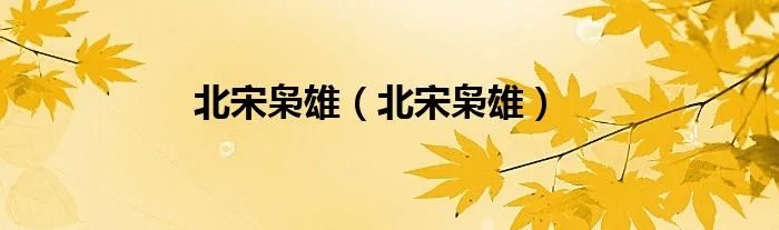 北宋枭雄(北宋枭雄)