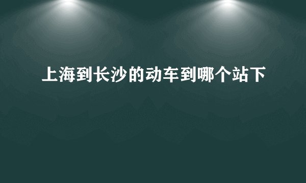 上海到长沙的动车到哪个站下