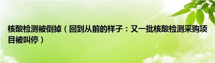 核酸检测被倒掉（回到从前的样子：又一批核酸检测采购项目被叫停）