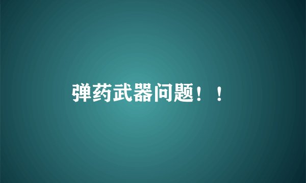 弹药武器问题!!