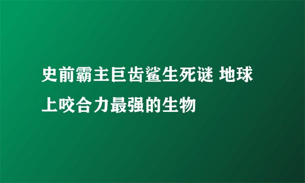 史前霸主巨齿鲨生死谜 地球上咬合力最强的生物