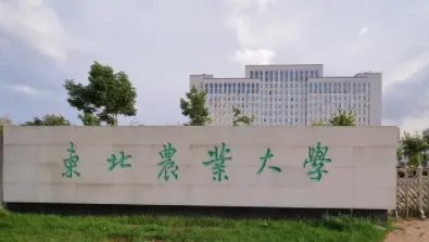 末流211大学名单最后20名