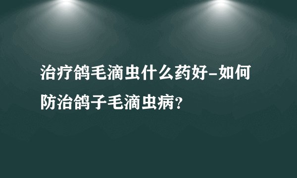 治疗鸽毛滴虫什么药好-如何防治鸽子毛滴虫病？