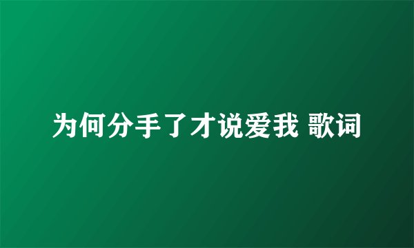 为何分手了才说爱我 歌词