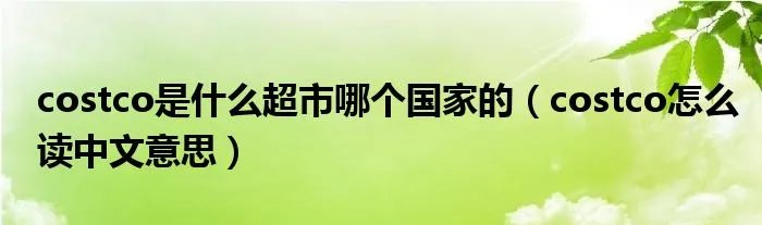 costco是什么超市哪个国家的（costco怎么读中文意思）