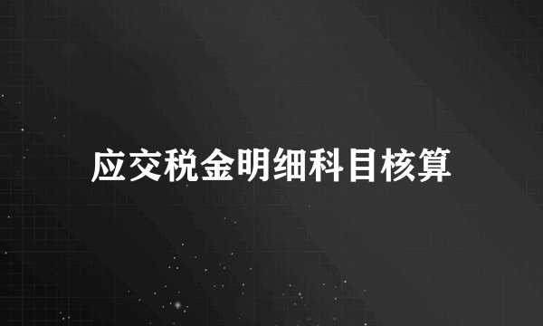 应交税金明细科目核算