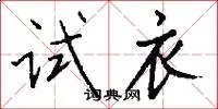 试衣