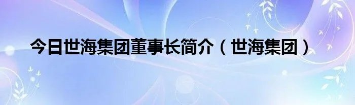 今日世海集团董事长简介（世海集团）