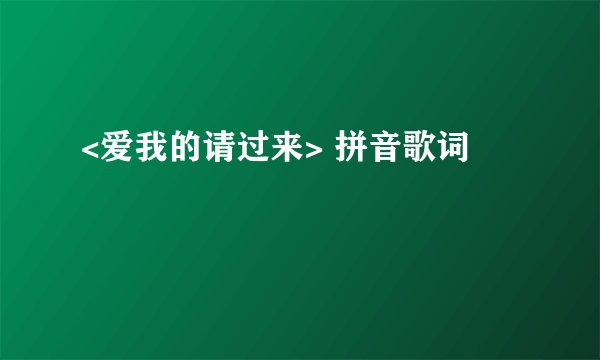 <爱我的请过来> 拼音歌词