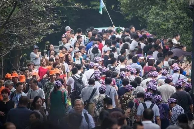 千万不要来杭州,我是认真的