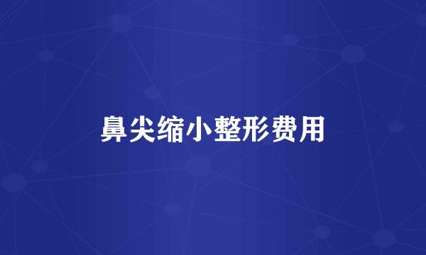 鼻尖缩小整形费用