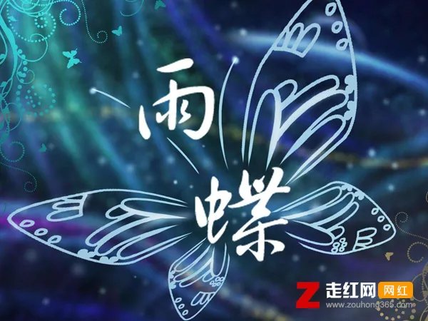 爱到心破碎也别去怪谁是什么歌,雨蝶歌曲介绍