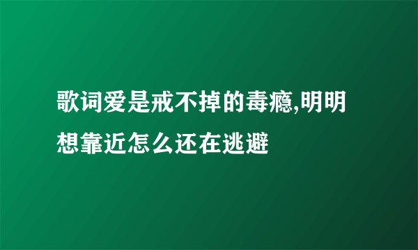 歌词爱是戒不掉的毒瘾,明明想靠近怎么还在逃避