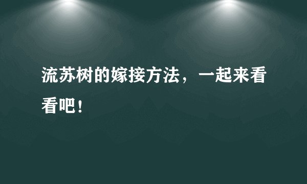 流苏树的嫁接方法，一起来看看吧！