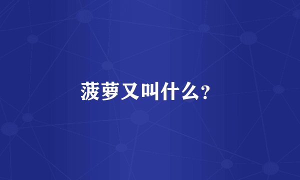 菠萝又叫什么？