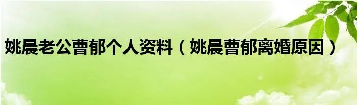 姚晨老公曹郁个人资料（姚晨曹郁离婚原因）