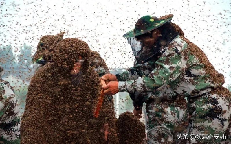 十大奇葩吉尼斯世界纪录,个个奇葩无比,最后一个更是匪夷所思