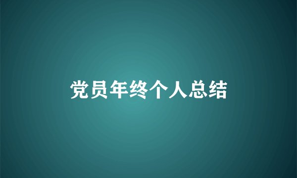 党员年终个人总结
