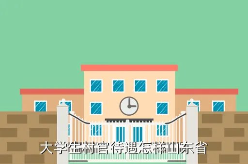 山东村官待遇，山东省选调村官工资
