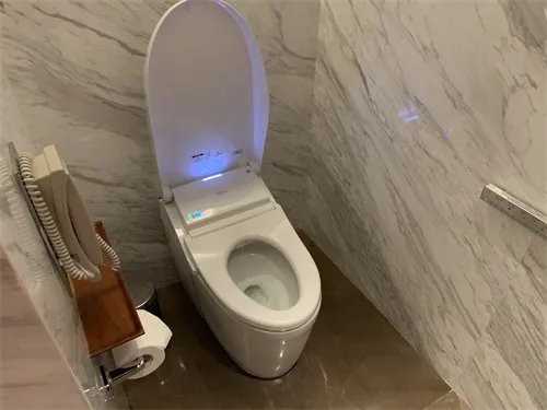 智能马桶的优点缺点是什么