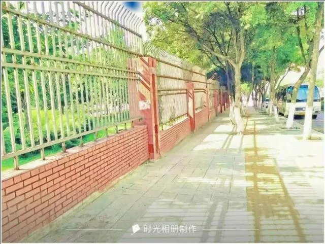 南充高中到底有多好?