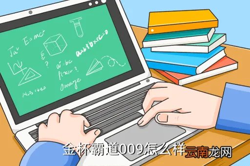 金杯霸道009，金杯霸道009怎么样