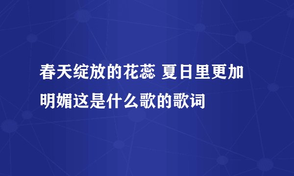 春天绽放的花蕊 夏日里更加明媚这是什么歌的歌词