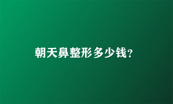 朝天鼻整形多少钱？