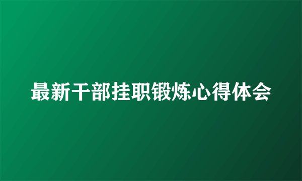 最新干部挂职锻炼心得体会