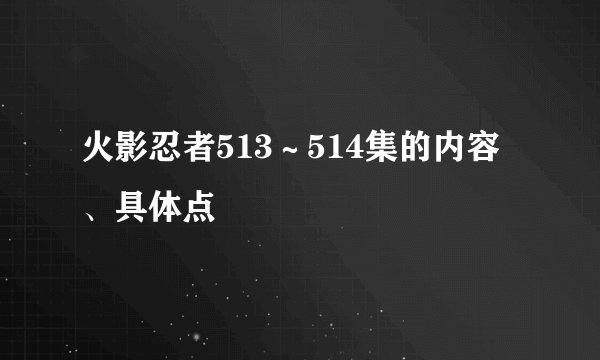 火影忍者513～514集的内容、具体点