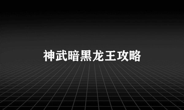 神武暗黑龙王攻略