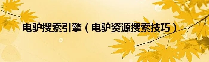 电驴搜索引擎（电驴资源搜索技巧）