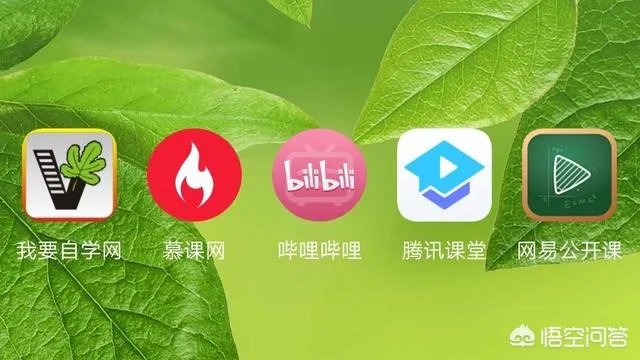 你们手机都有些什么免费学习PPT,PS类似教程APP?
