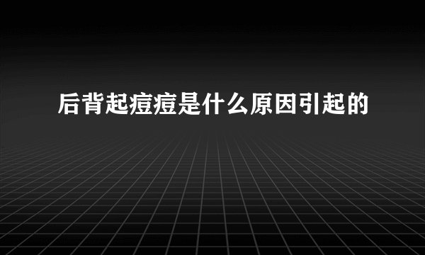 后背起痘痘是什么原因引起的