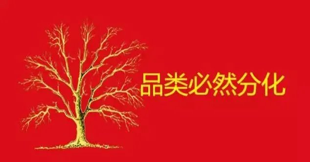 垂直电商网站,你会去购物吗?