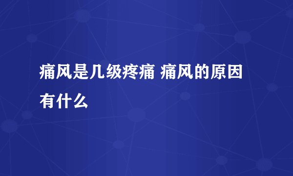 痛风是几级疼痛 痛风的原因有什么