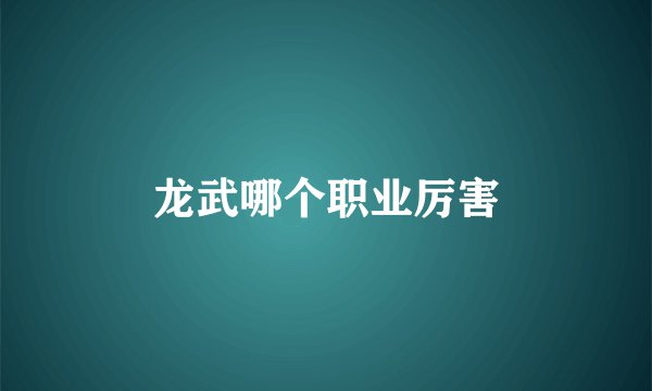 龙武哪个职业厉害