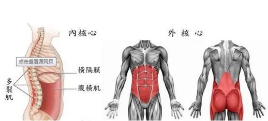 肋骨是在壁胸膜和脏胸膜之间吗？