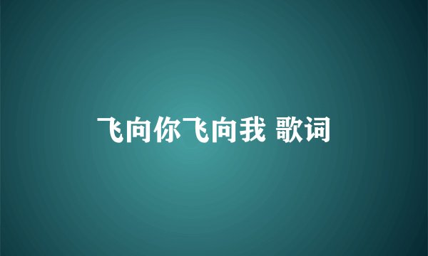 飞向你飞向我 歌词
