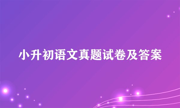 小升初语文真题试卷及答案