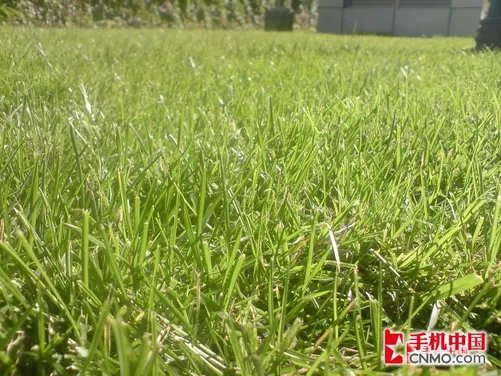 视频直播手机铁人三项赛 主流功能大PK