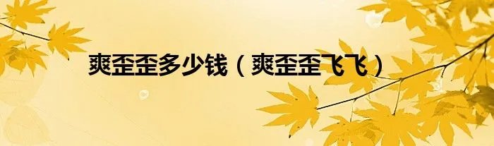 爽歪歪多少钱（爽歪歪飞飞）