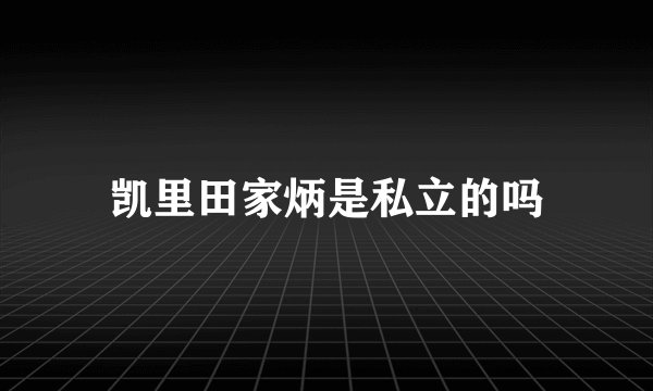 凯里田家炳是私立的吗