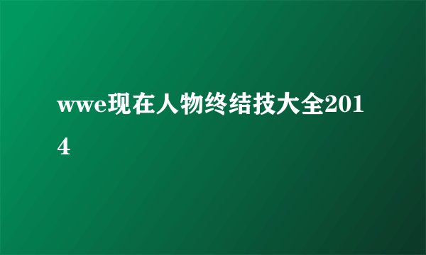 wwe现在人物终结技大全2014