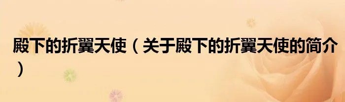 殿下的折翼天使（关于殿下的折翼天使的简介）