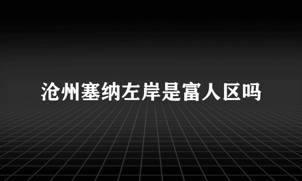 沧州塞纳左岸是富人区吗