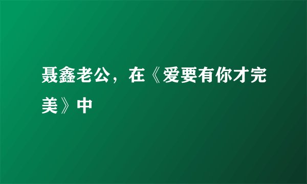 聂鑫老公，在《爱要有你才完美》中