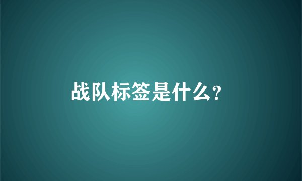 战队标签是什么？